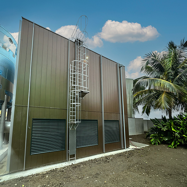 echelle crinoline alu martinique palmier