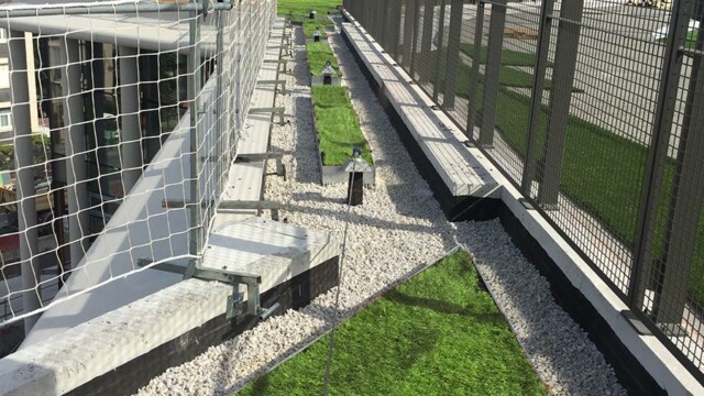 ligne de vie acbi toiture végétale