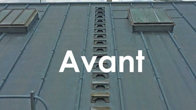 anciennes marches sur toiture zinc